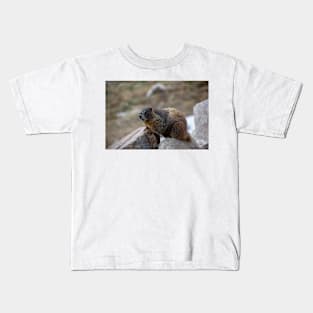 Marmot on Rock 3 Kids T-Shirt